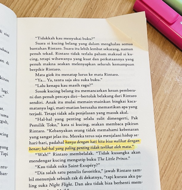 the cat who saved books review