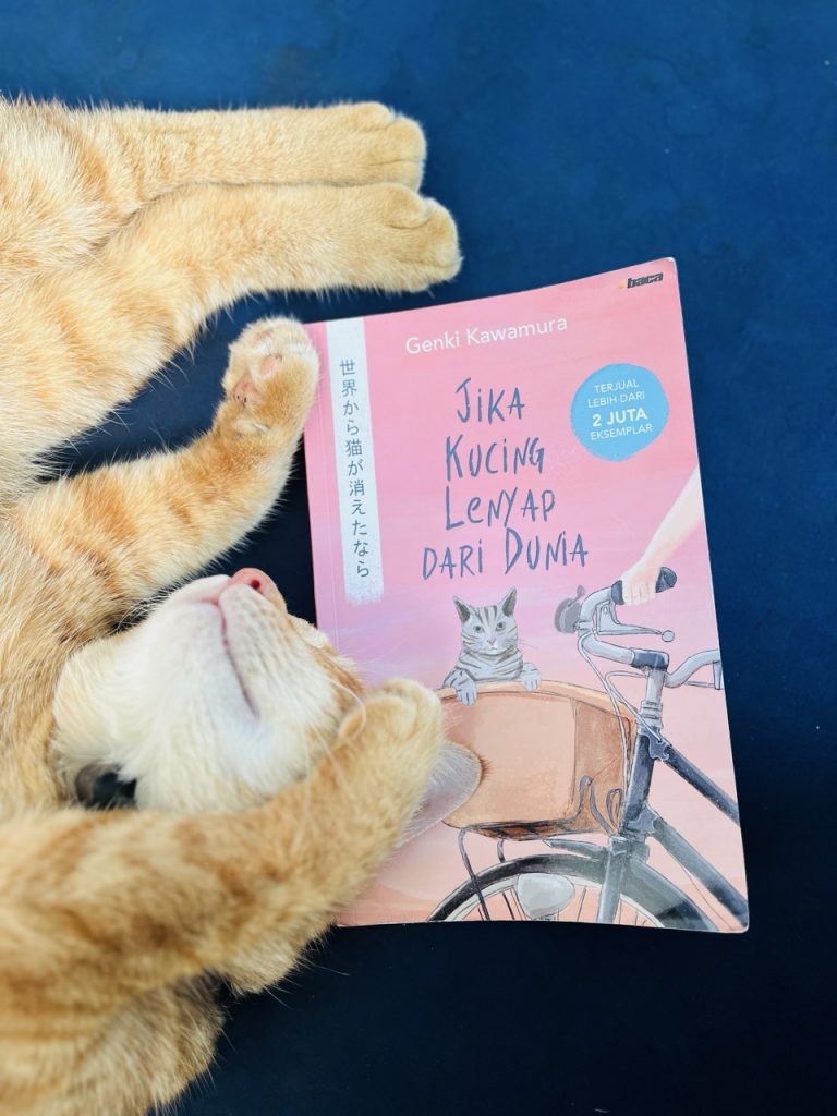 jika kucing lenyap dari dunia